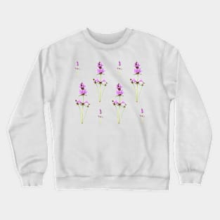 Stachys macrantha  Big Betony Crewneck Sweatshirt